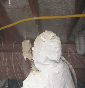 Elgin IL crawl space insulation